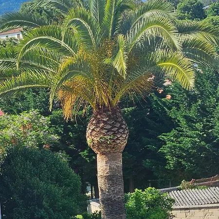 Casa Boutique Candeleda