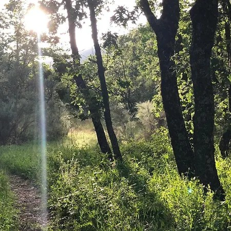 Nyaraló Casa Boutique *