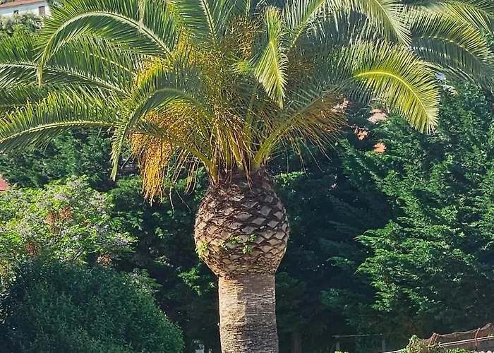 Casa Boutique Candeleda