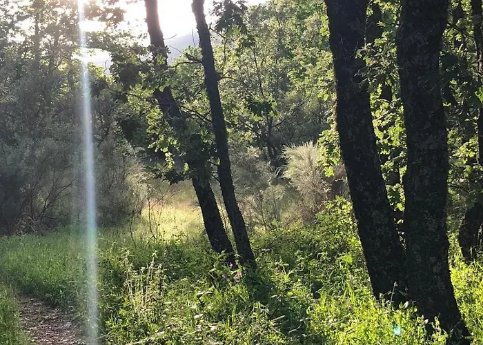 Vakantiehuis Casa Boutique *